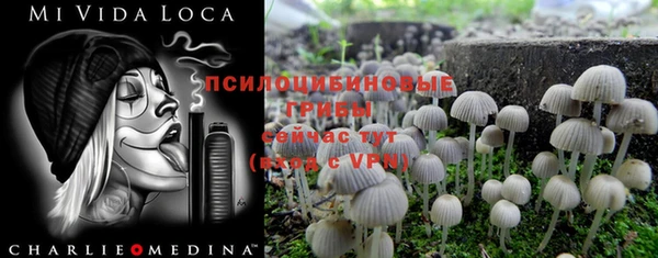 ПСИЛОЦИБИНОВЫЕ ГРИБЫ Аркадак