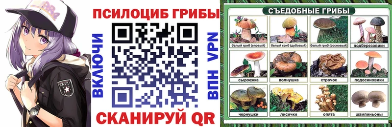 Галлюциногенные грибы мицелий  ОМГ ОМГ вход  Фролово  купить наркоту 
